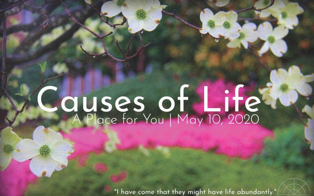 “Causes of Life: A Place for You” A Sermon by Alan Sherouse