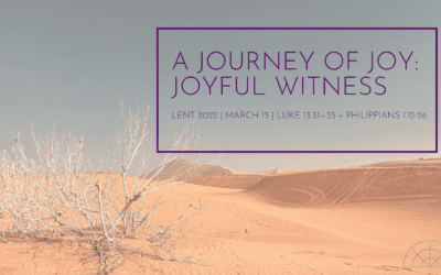 “A Journey of Joy: Joyful Witness” A Sermon by Alan Sherouse