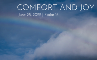 “Comfort and Joy” A Sermon by Rev. Courtney Willis