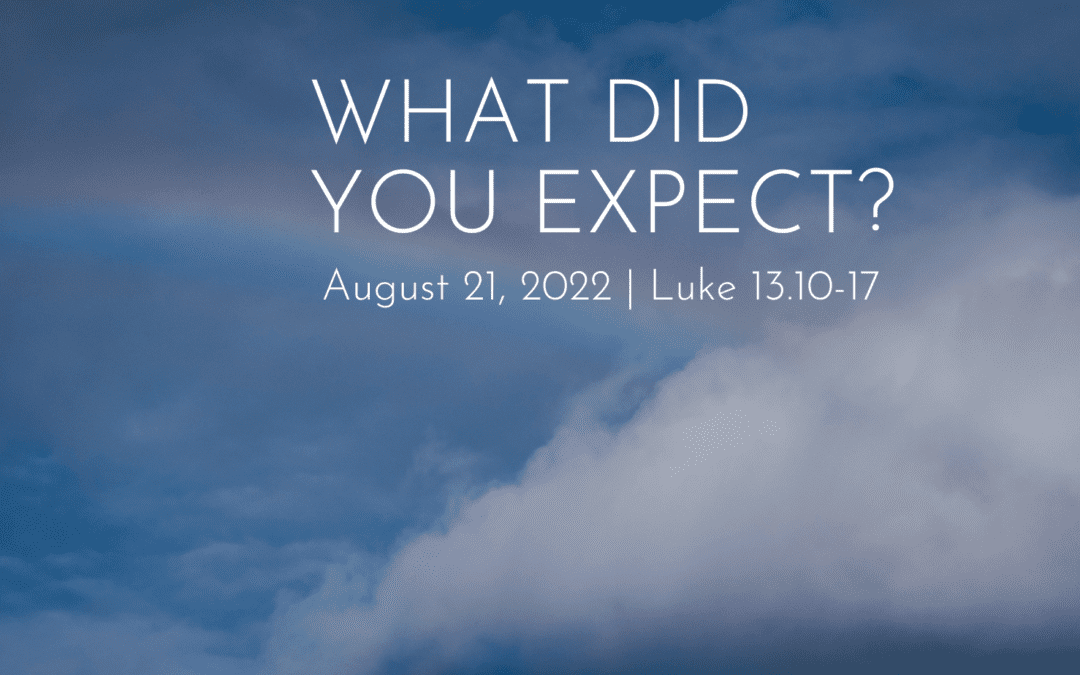 “What Did You Expect?” A Sermon by Rev. Dr. Lee Canipe