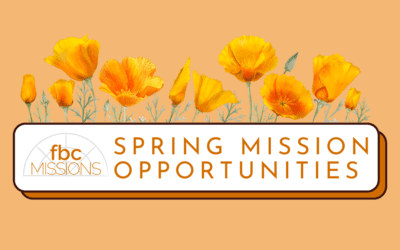 Spring Missions