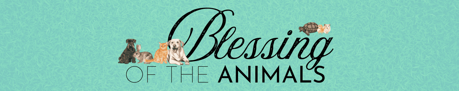 blessing of the animals banner